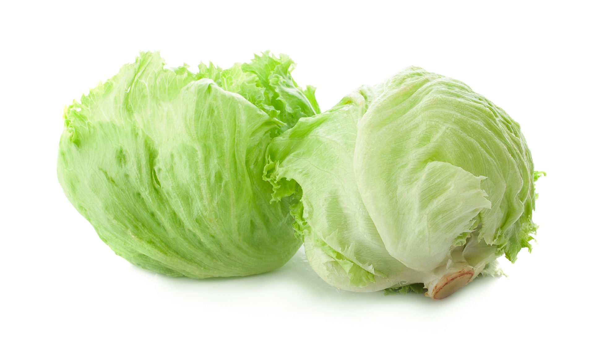 Enciam Iceberg d'Eusebi Guiral Enciam Iceberg d'Eusebi Guiral